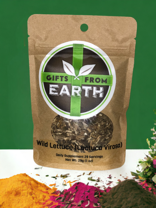 Wild Lettuce